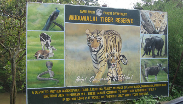 Mudumalai Wildlife Sanctuary